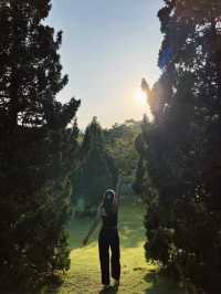 Good vibes ที่เชียงใหม่⛰️🌳💚 