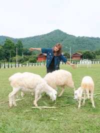 ✅️อิสยาห์รีสอร์ต – ใกล้น้ำตกคลองลาน กำแพงเพชร 🌿