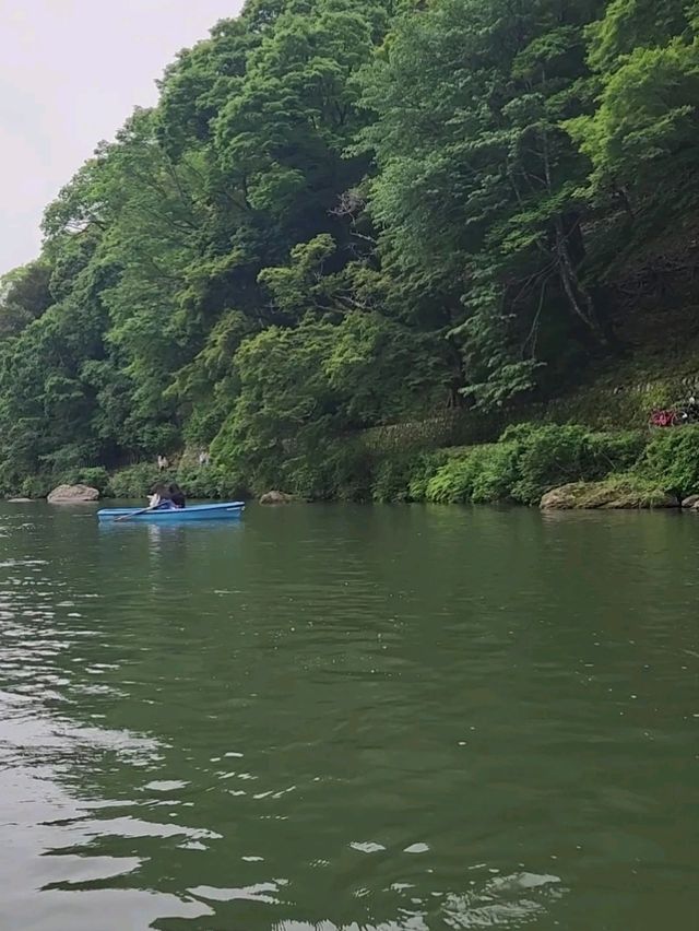 @ ARASHIYAMA IN KYOTO.