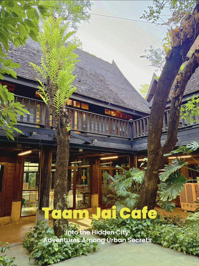 ตามใจคาเฟ่ (Taamjai Café) – สวนชาเขียวร่มรื่น 