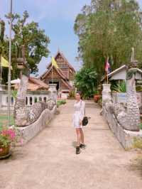 วัดหนองบัว ป่าคา อ.ท่าวังผา จ.น่าน