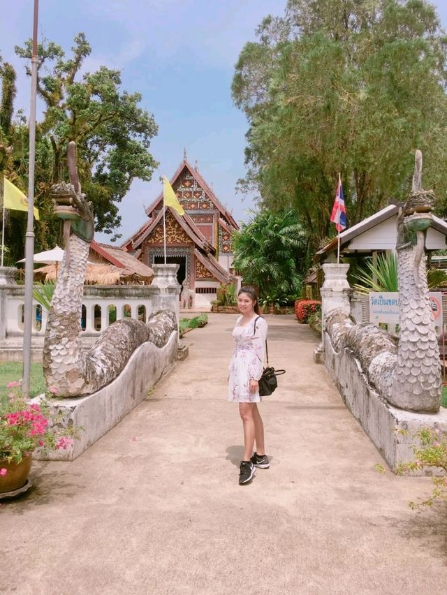 วัดหนองบัว ป่าคา อ.ท่าวังผา จ.น่าน