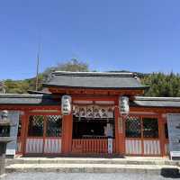 ⛩🍃 Uji Shrine – A Hidden Gem Where Time Whispers