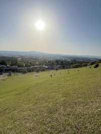 🦌⛰️✨ Quick Guide – Mount Wakakusa & Ikuta Shrine