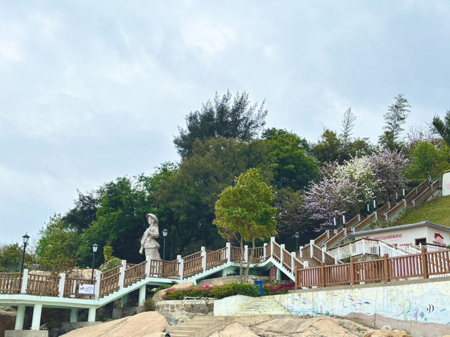 **🌊 汕頭媽嶼島｜絕美海邊木棧道，漫步聽濤，感受潮汕小島的浪漫！**