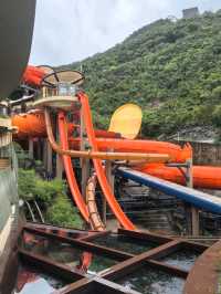 🐬🎢 Ocean Park Hong Kong – Where Animals & Thrills Meet the Sea! 🌊