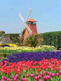 A Colorful Day at Zhongshe Flower Farm, Taichung