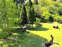 Art in the Mountains: Hakone Open-Air Museum