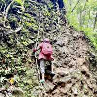 蘭嶼輕鬆健行的登山步道～大天池