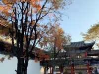🍂 Lijiang Old Town in Late Autumn
