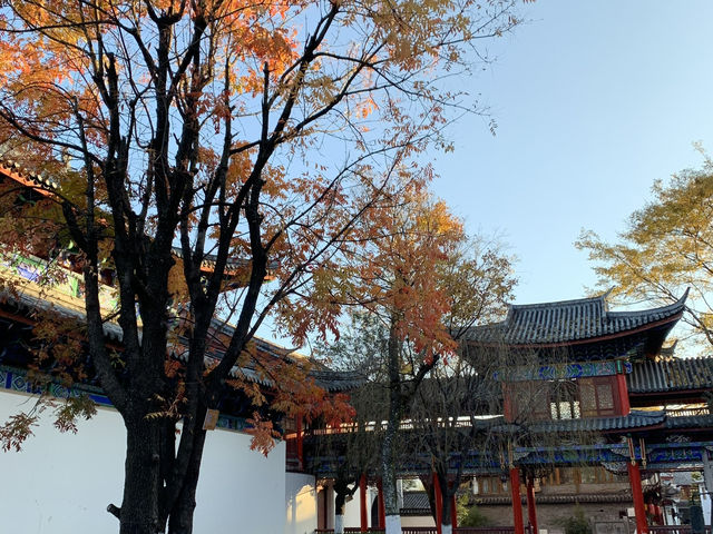 🍂 Lijiang Old Town in Late Autumn