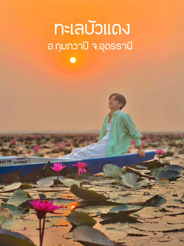 ทะเลบัวแดง อุดรธานี Unseen Thailand 🪷