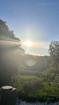 🌿漫遊杭州西湖｜一場與詩意風景的約會，一場心靈出走的行程