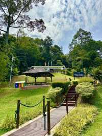 UNESCO Views from Above: Forest Skywalk at FRIM Takes You to New Heights!