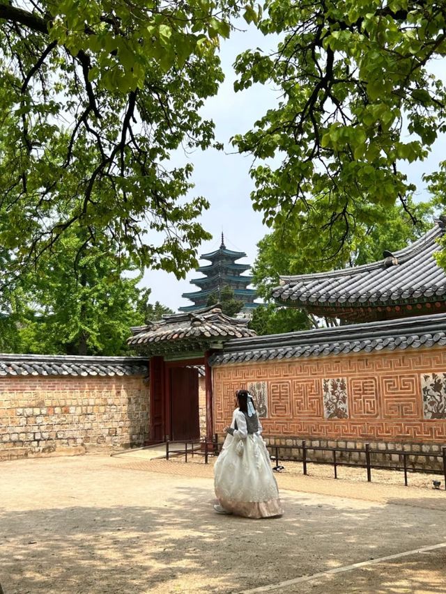 Gyeongbokgung: Where History Lives