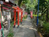 Explore the Heart of Tokyo at Ueno Park