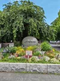 Blossoms, Culture, and Wildlife: Discover Ueno Park