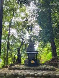 【和歌山グルメ】熊野もうで餅・熊野本宮大社