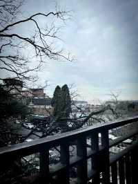 用雙腳感受雪梨脈搏「雪梨港灣大橋」