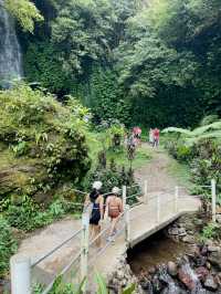 Banyu Wana Amertha Waterfall view 1