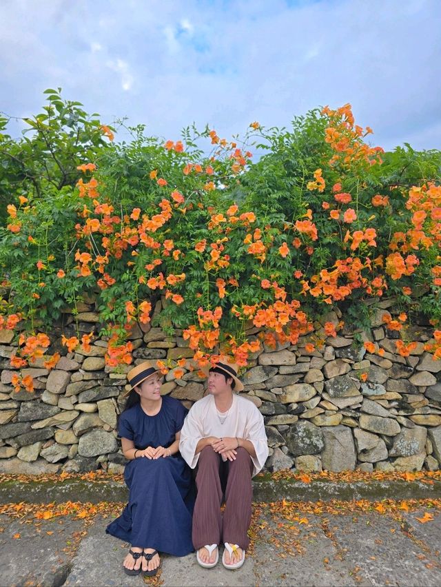 아직 늦지 앉았던 남해 능소화맛집🧡