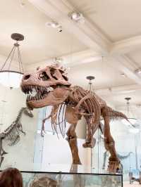 Unleash Your Inner Explorer: A Fun-Filled Adventure at the American Museum of Natural History!