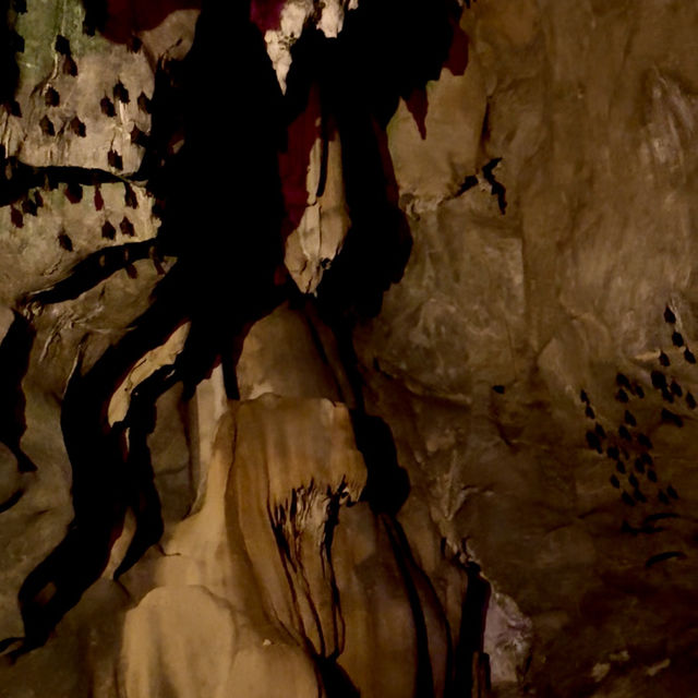 🌌✨Into the Mystical Darkness: Exploring Gua Kelam!✨🌌