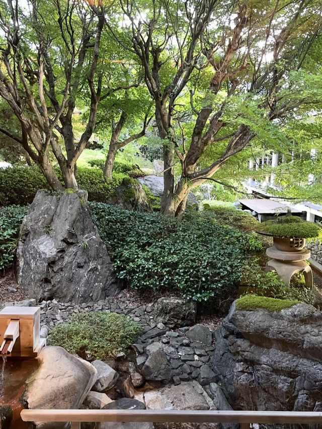 【断崖絶壁の国宝！三徳山投入堂で神秘の冒険旅⛰️】