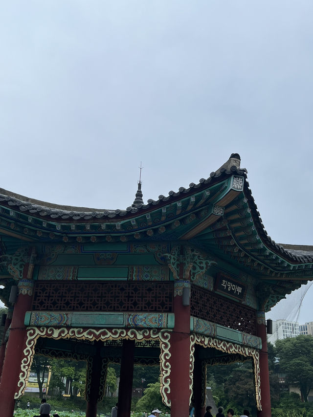 어린이대공원을 둘러보았어요