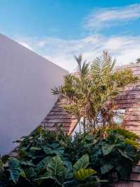 Palyn Café – แสมสาร 
