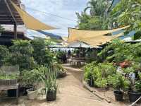 คาเฟ่ติดริมทะเล หลงรัก