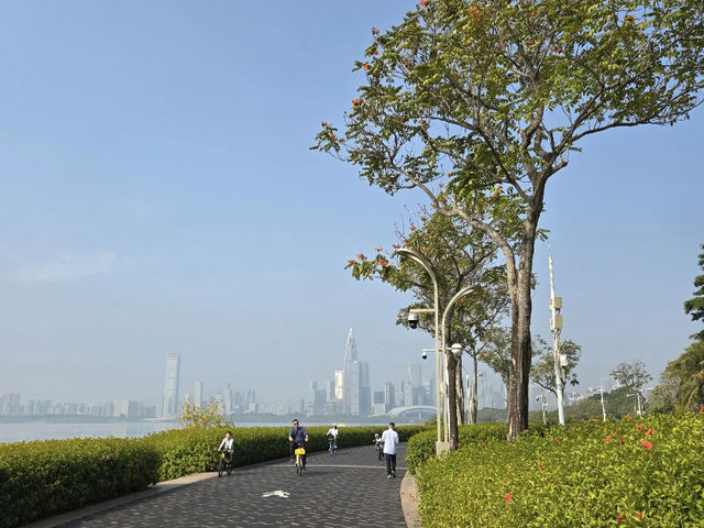 Shenzhen: My Love Affair with the City of Innovation & a Stay at Mercury Garden Hotel! 🏙️💖
