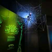 Perot Museum of Nature and Science – Dallas