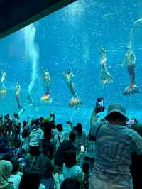 The Sea Shell-越南最大的水族館，吸睛巨型海龜造型