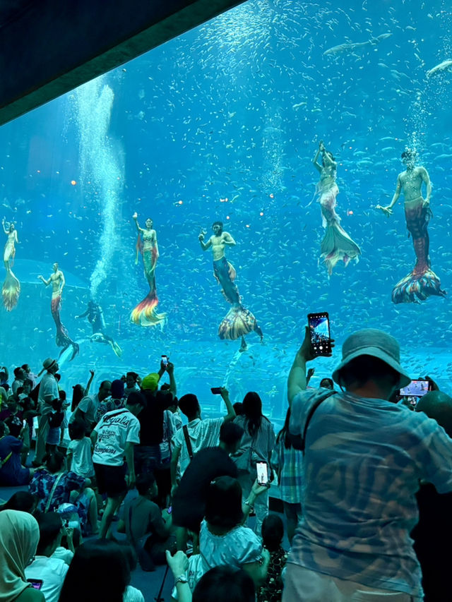 The Sea Shell-越南最大的水族館，吸睛巨型海龜造型