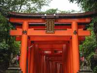 【伏見稲荷大社】千本鳥居の幻想世界へ⛩️願いを込めて歩く、朱のトンネル