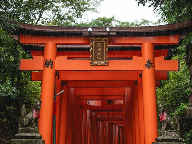 【伏見稲荷大社】千本鳥居の幻想世界へ⛩️願いを込めて歩く、朱のトンネル