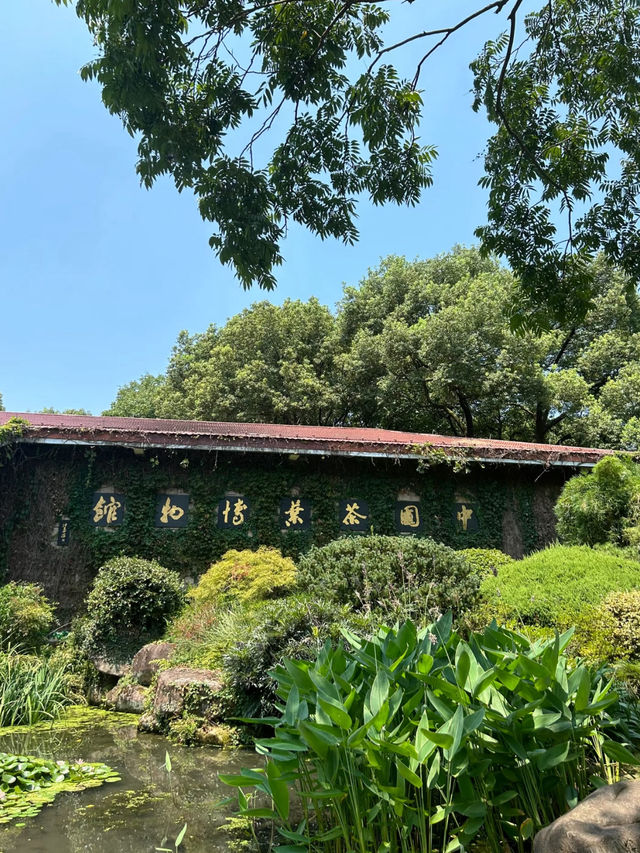 China National Tea Museum 🍵 
