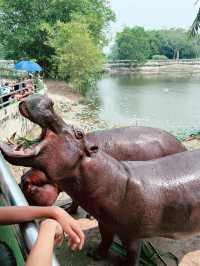 Close Encounter with Giants at Paya Indah Wetlands