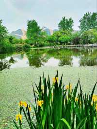 Baima Lake Park – Hangzhou’s Lakeside Oasis of Art & Nature