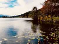 ⛩️🌲 *Togakushi Shrine Trail & Tsugaike Nature Park: A Spiritual Hike Through Japan’s Sacred Forests