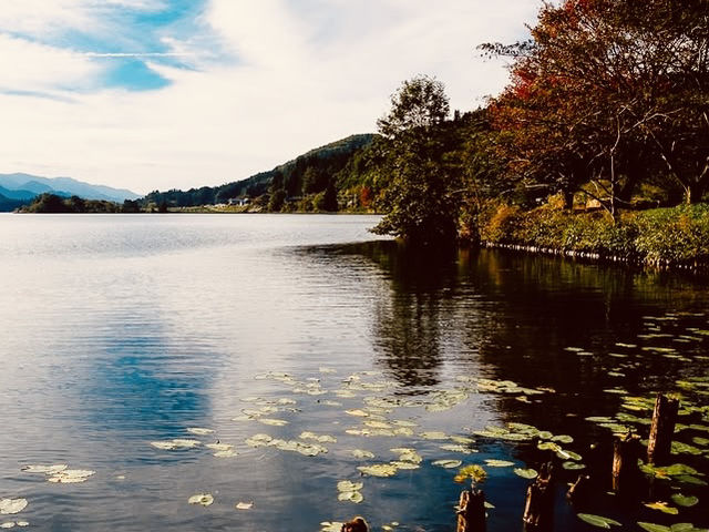 ⛩️🌲 *Togakushi Shrine Trail & Tsugaike Nature Park: A Spiritual Hike Through Japan’s Sacred Forests