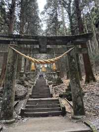 Kyushu on Wheels: A 10-Day Self-Drive