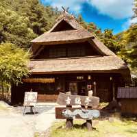 🏡 "Step Back in Time: Saiko Iyashi no Sato Nenba – Japan’s Picturesque Thatched-Roof Village