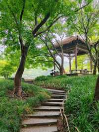 Prince Bay Park After Rain – Hangzhou’s Misty Wonderland