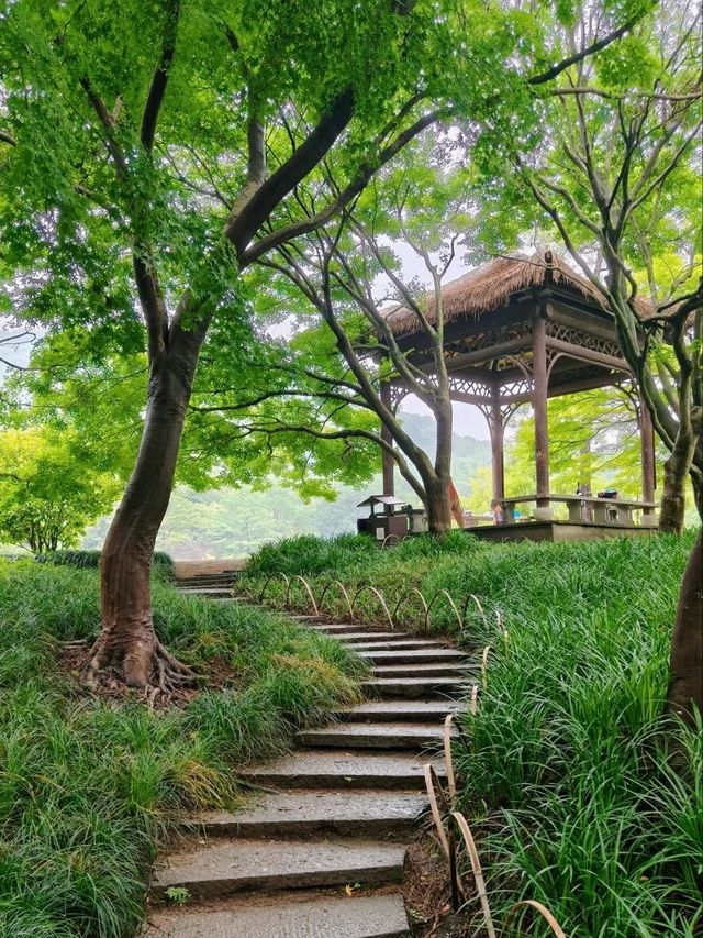 Prince Bay Park After Rain – Hangzhou’s Misty Wonderland