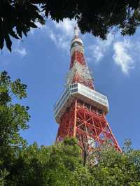 Tokyo Tower & Temple: A fairytale in Minato 🗼⛩️🇯🇵