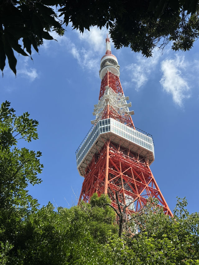 Tokyo Tower & Temple: A fairytale in Minato 🗼⛩️🇯🇵