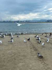 바다와 바람, 그리고 여름의 한 페이지 🌊🌴