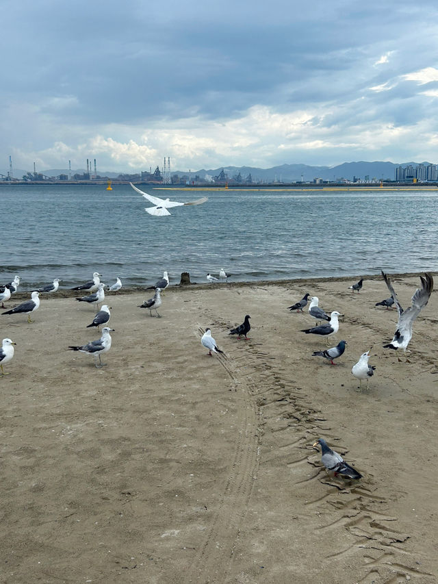 바다와 바람, 그리고 여름의 한 페이지 🌊🌴